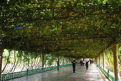 国际奥委会全票通过沙特电竞奥运会项目 预计2025年开办